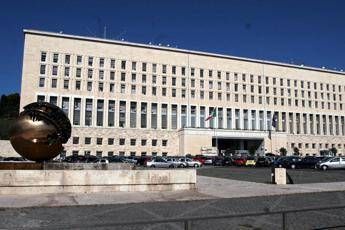 La Farnesina