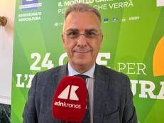 Alimenti, Minelli: