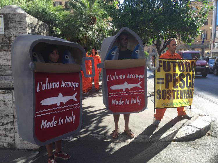 Azione di Greenpeace davanti al ministero delle Politiche agricole a Roma