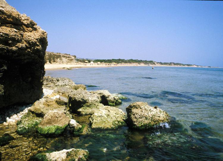 Sicilia, Ragusa. Paesaggio siciliano dalla scogliera (Infophoto) 