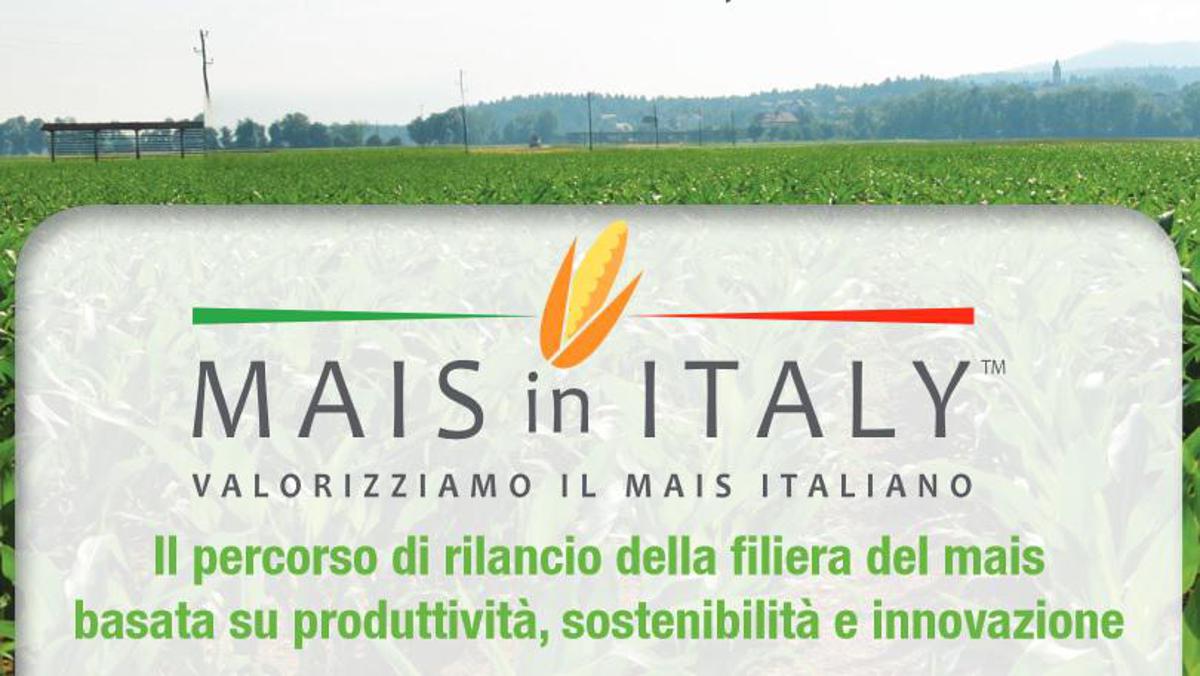 'Mais in Italy': un percorso di rilancio della filiera del mais