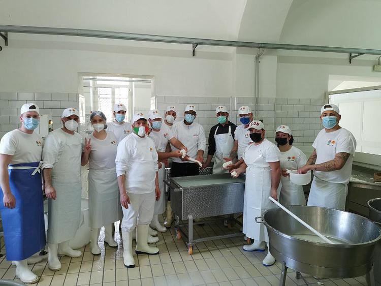 Mozzarella Dop, via al nuovo corso per diventare casari