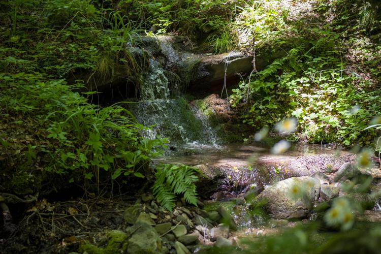 World Water Day, le azioni di Sanpellegrino per un impatto positivo sul ciclo idrologico