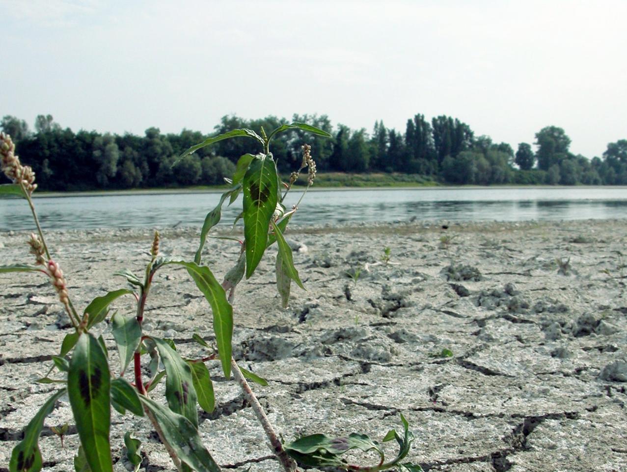 Giornata mondiale Ambiente - 28% Italia a rischio desertificazione: l