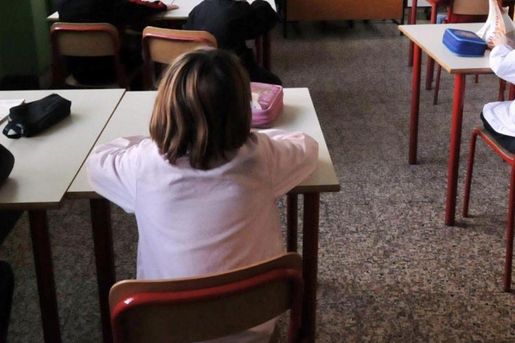 Vespa Orientalis, a Roma chiesto monitoraggio scuole