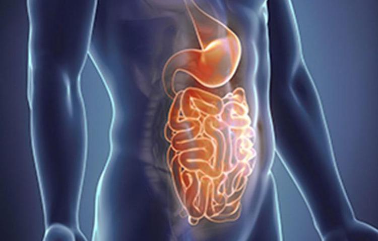 Malattia di Crohn, primo ok Ema per inibitore di Il-23