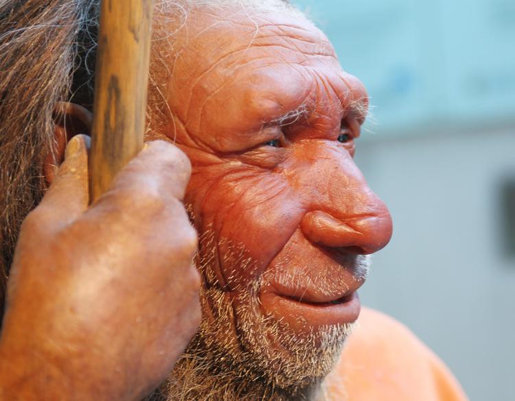 La curiosa collaborazione tra i nostri antenati ed i Neanderthal
