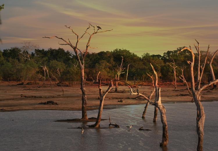 Allarme siccità in Amazzonia
