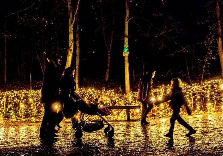 Arriva a Roma 'Incanto di luci', light art a basso impatto ambientale