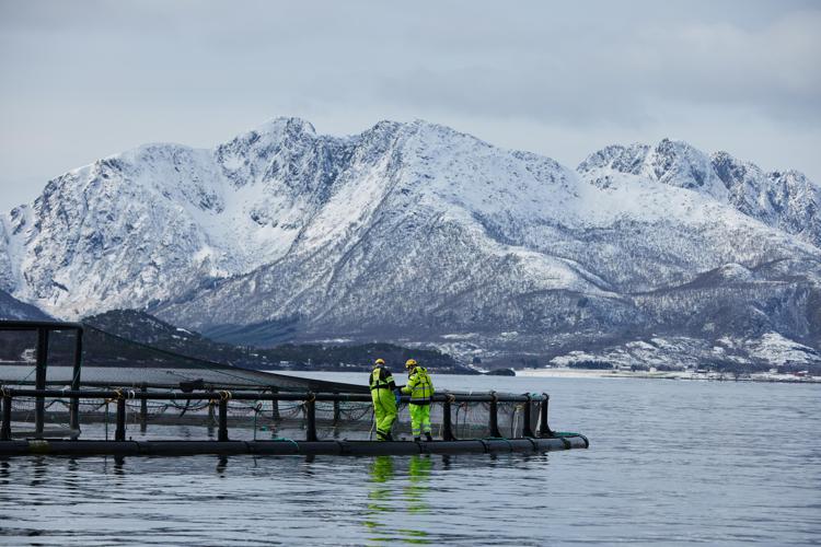 L’acquacoltura norvegese punta su sostenibilità e qualità