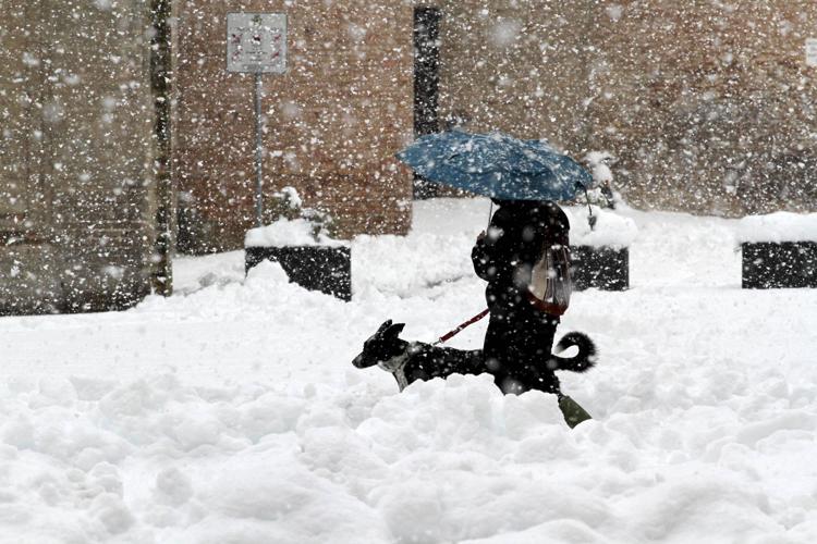 Gelo polare e neve a bassa quota, ecco i giorni più freddi dell'anno