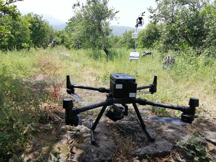 Agricoltura, Distretto produttivo agrumi di Sicilia: progetti aperti agli attori del territorio