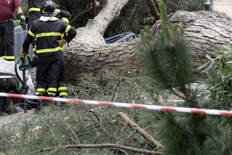 Reggio Calabria, vento a 100 Km all'ora: uomo muore travolto da un albero