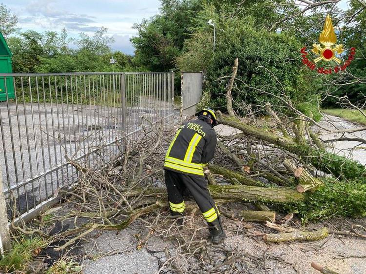 Tromba d'aria a Tradate, tetti scoperchiati e alberi caduti - Video