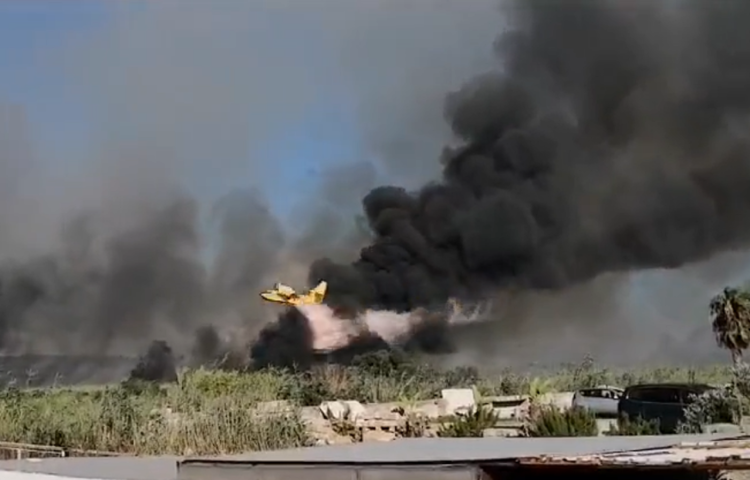 Salento, in fiamme litorale di Ugento: turisti in fuga dalle spiagge - Video