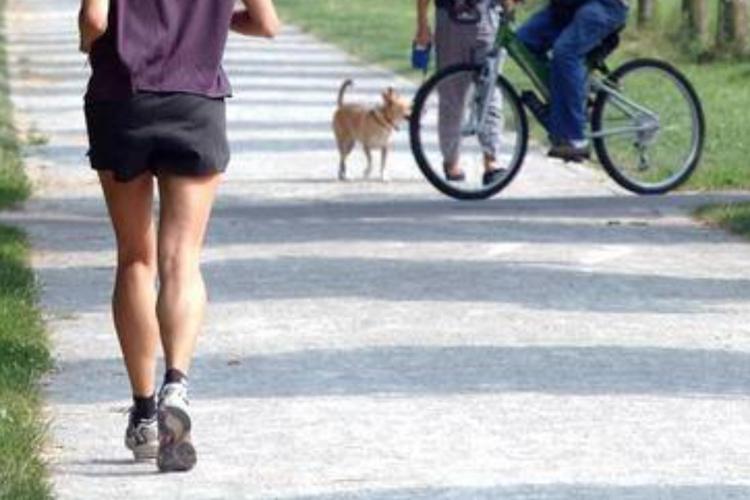 Milano, violentata mentre fa jogging: fermato pusher