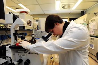 Codice a barre genetico traccia cellule cancro cervello, studio italiano