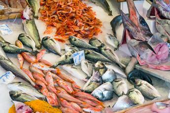 Estate, in 2 settimane 6 mln under 18 al mare, appello del pediatra ‘più pesce nei menu’