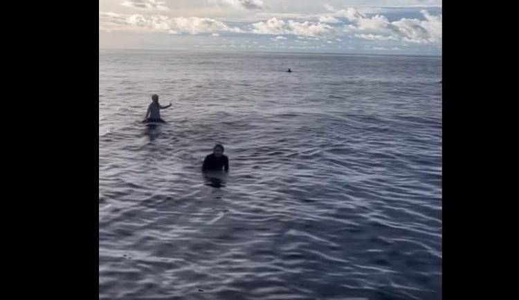 Surfisti dispersi dopo tempesta, trovati vivi dopo 38 ore sulla tavola