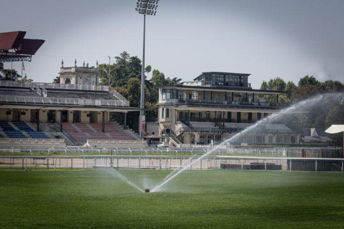 Sete dias antes do Campeonato Europeu de Saltos de Obstáculos de 2023