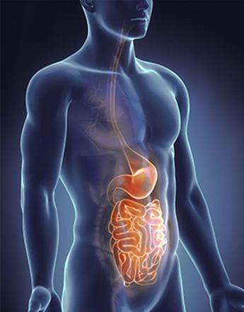 Malattia di Crohn, ok Aifa a rimborso primo inibitore specifico IL-23