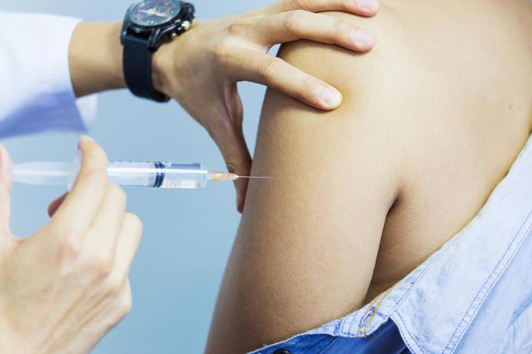 Vaccini, Nieddu (Meyer): 
