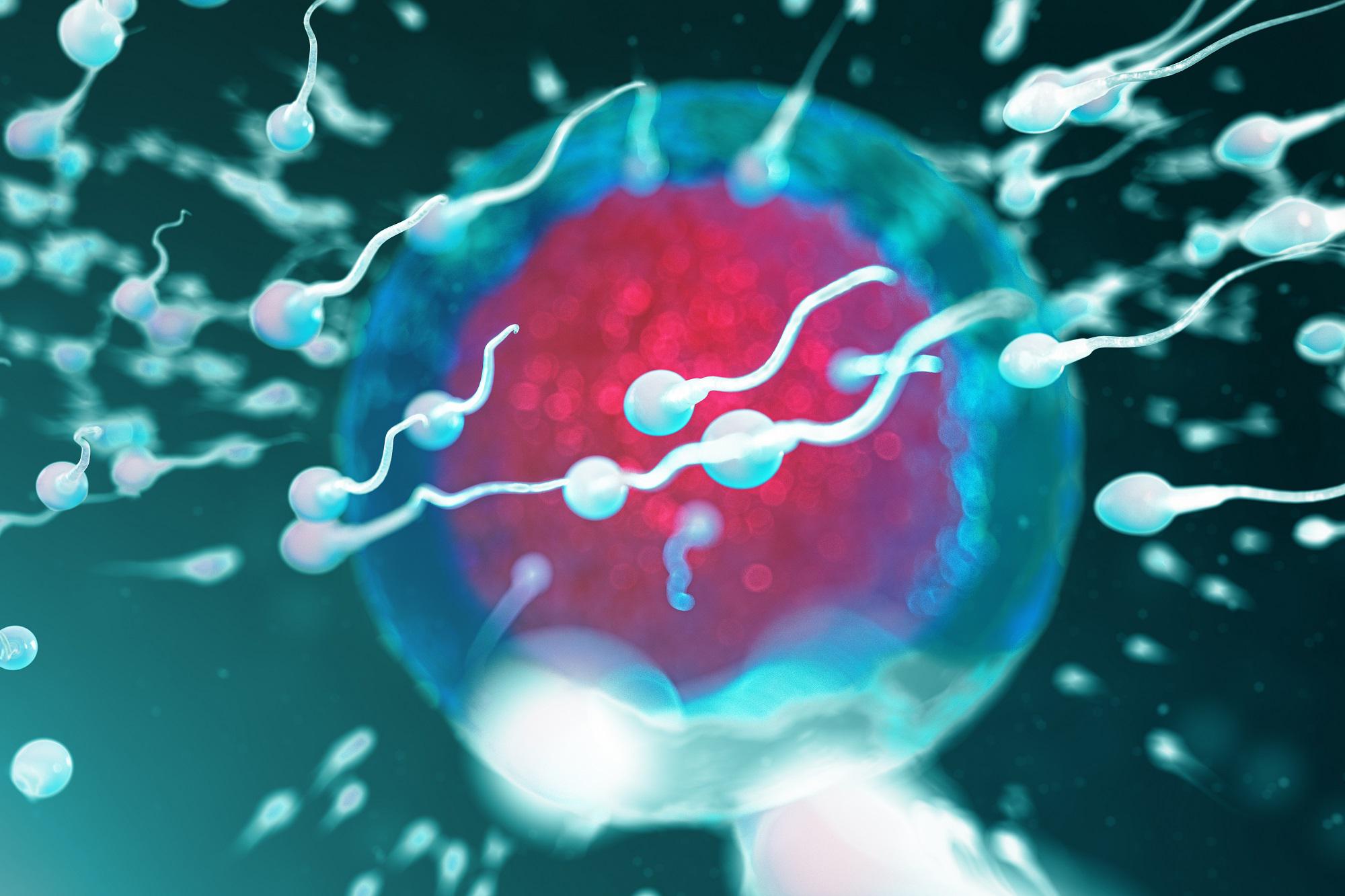 male-infertility-here-s-why-some-men-don-t-produce-sperm-the-study