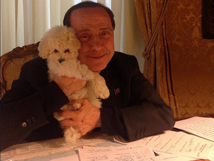 Dudù con l'ex premier Silvio Berlusconi, scomparso il 12 giugno scorso (@silvioberlusconiofficial)