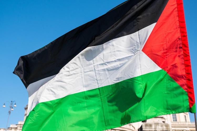 Bandiera palestinese - Fotogramma