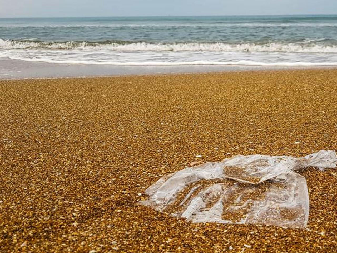 Beach Litter 2024, raccolti 705 rifiuti ogni 100 metri di spiaggia