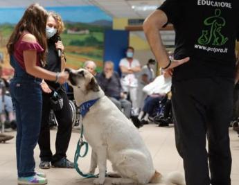 Pet Therapy: Rsa, per il benessere degli anziani arrivano gli amici a 4 zampe