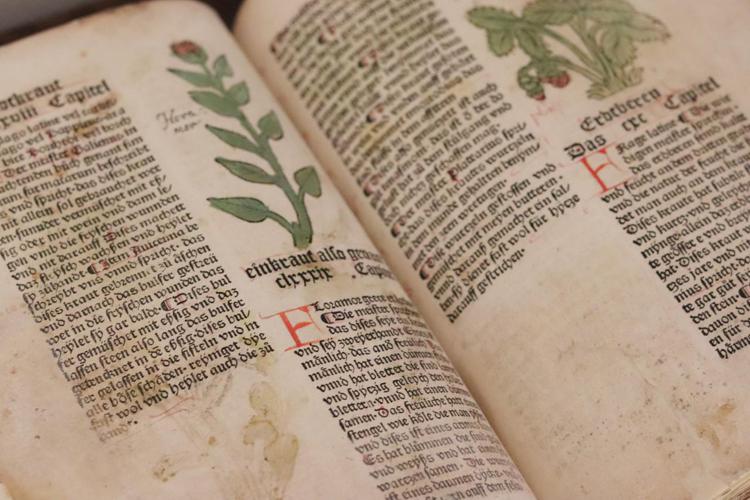 Risolto il mistero del 'Manoscritto di Voynich'