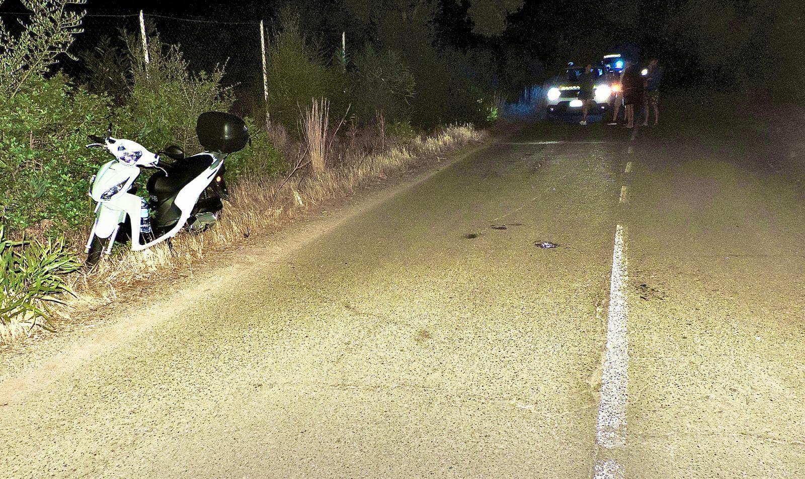 Si schianta in scooter contro un cervo - turista milanese muore nel Cagliaritano