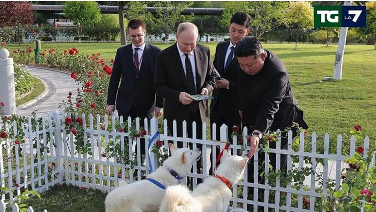 I due Pungsan regalati da Kim a  Putin