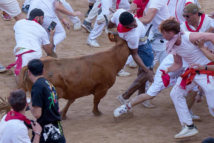 Corsa dei tori a Pamplona - (Afp)