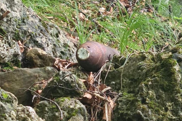 Torino, ragazzi ritrovano ordigno bellico in bosco a Novalesa