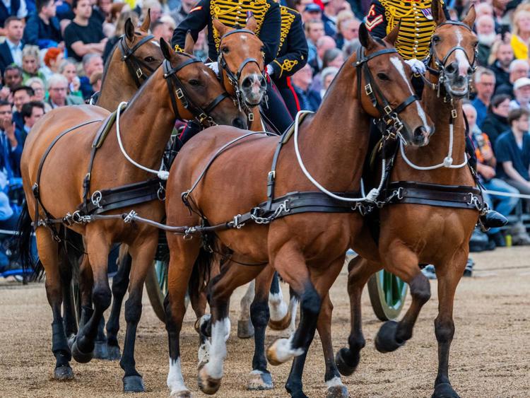 Cavalli della Guardia Reale (Fotogramma/Ipa)