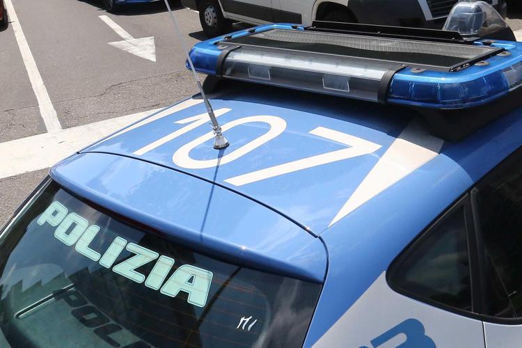 Volante della polizia (Fotogramma)