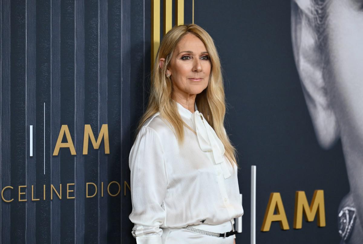 Celine Dion contro Trump: Non usare la canzone di Titanic