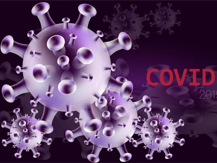 Il virus del Covid -   