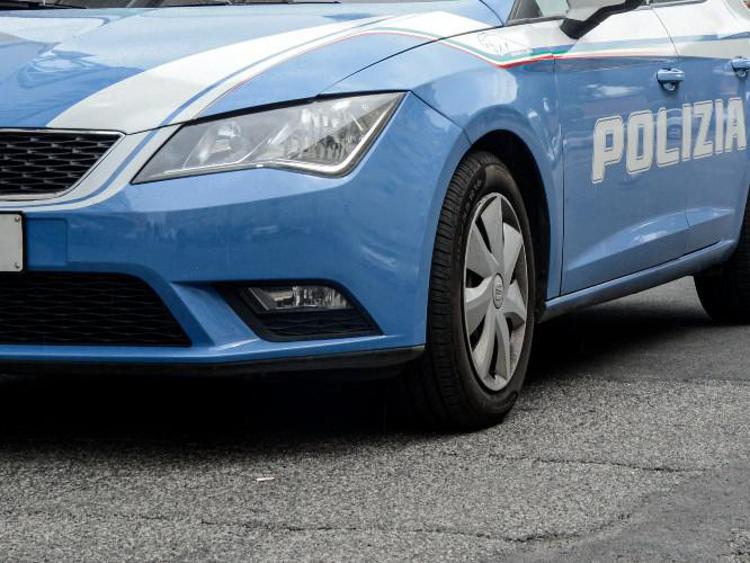 Volante della polizia (Fotogramma)