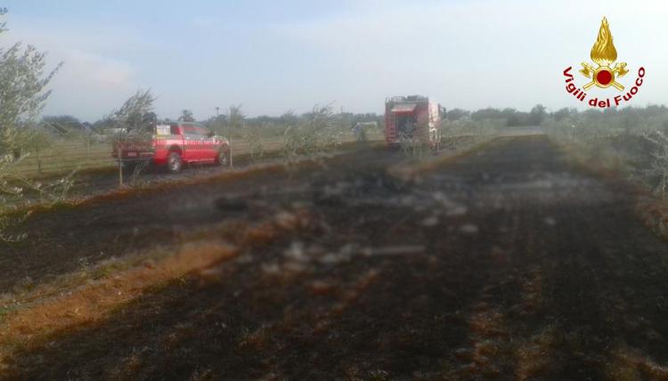 L'ncidente a Premariacco (Udine) - Vigili del Fuoco