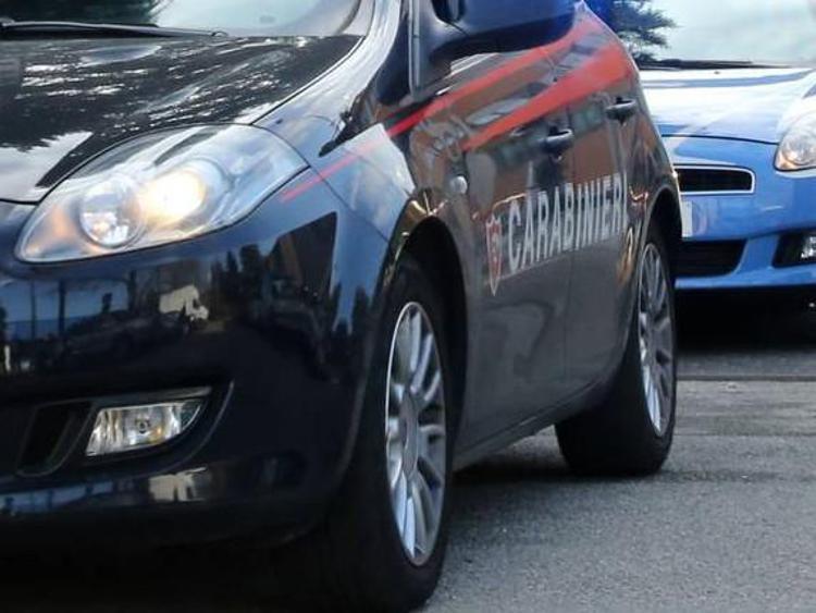 Carabinieri e polizia (Fotogramma)