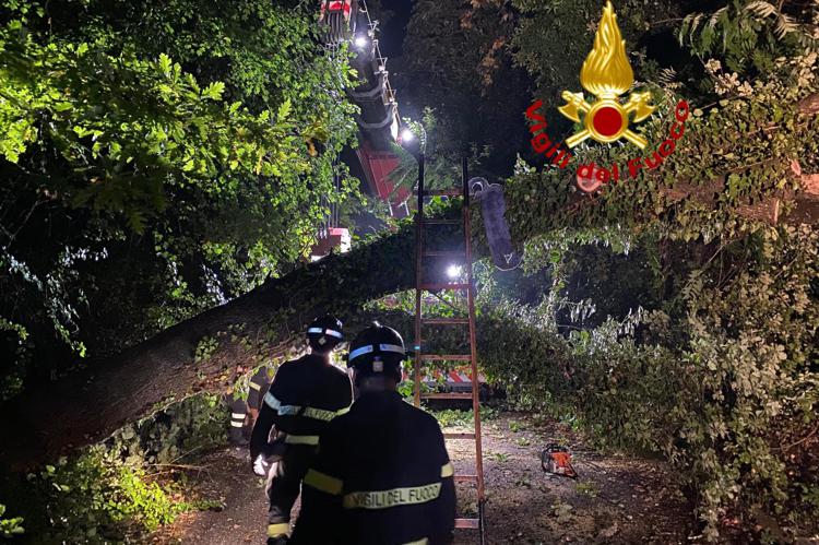 Bomba d'acqua su Roma, alberi caduti e traffico in tilt - Video