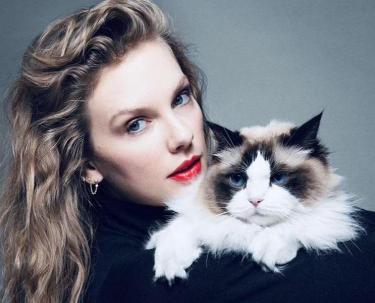 Taylor Swift e la foto con il gatto nel post per Kamala Harris pubblicato su Instagram