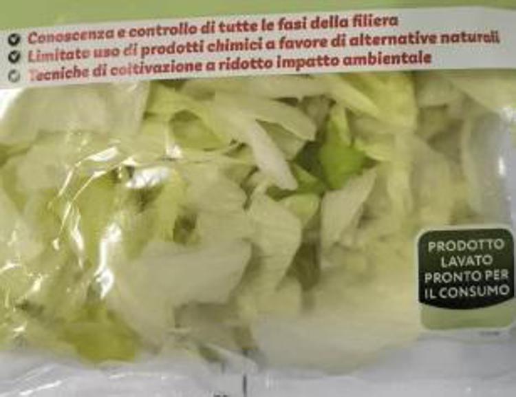 Listeria in insalata iceberg in busta, richiamati lotti di 19 marchi