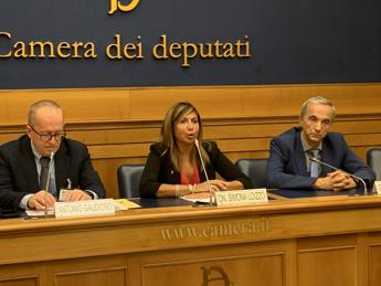 Loizzo: “Superare disomogeneità Nord- Sud in trattamento cancro polmone”