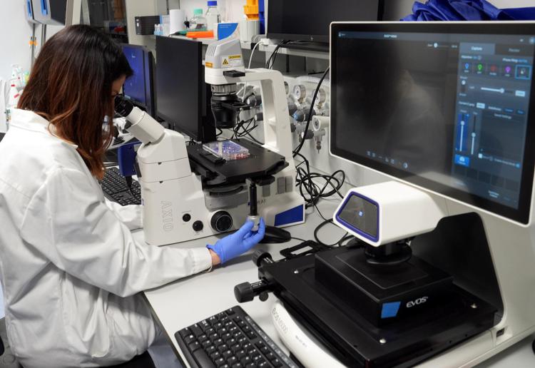 Laboratorio di ricerca su staminali (Fotogramma)