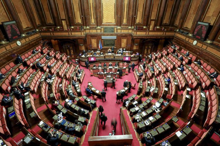 Aula del Senato (Fotogramma)