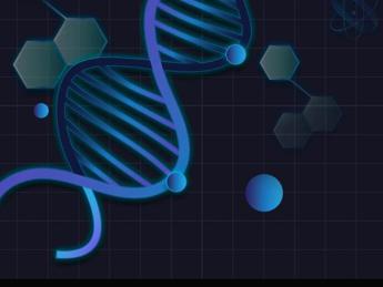 Prima mappa del cervello adulto, svelata la rete di neuroni e sinapsi